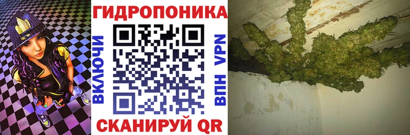 Все наркотики Шадринск Cocaine Героин Бошки Шишки Codein Амфетамин Alpha-PVP