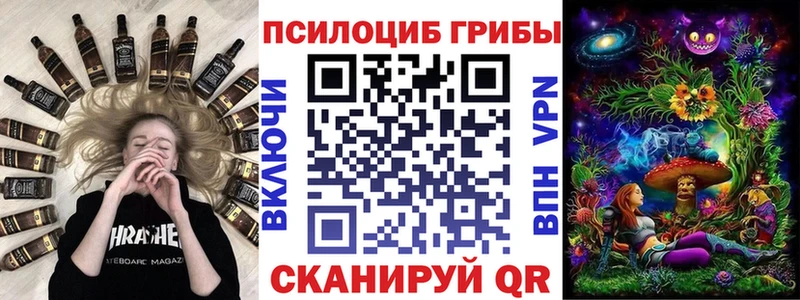 Псилоцибиновые грибы Psilocybe  Шадринск 